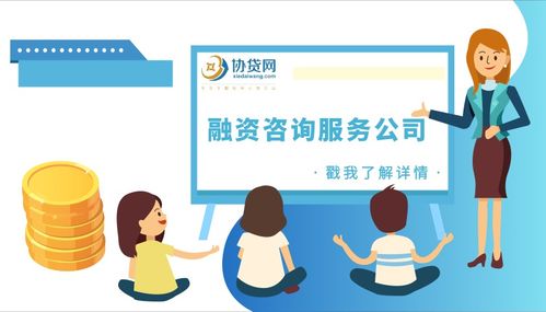 协贷网助贷融资咨询顾问服务与教育咨询服务 助力个人与企业融资发展